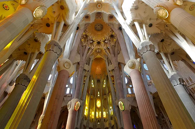 Wide view of the nave, with its tree-like columns branching into the vaults and the light of the apse in the distance